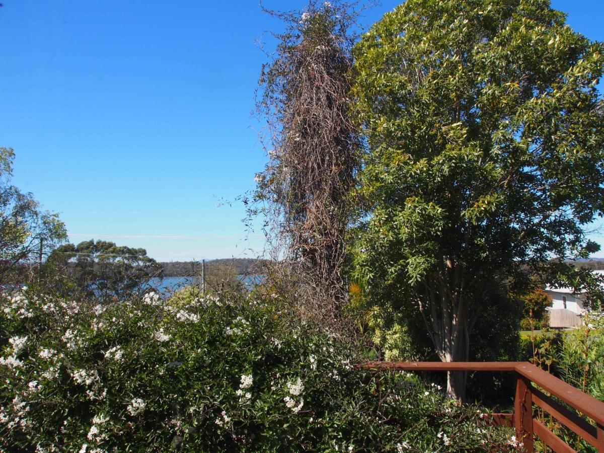 Cosy, Comfortable Cottage - Views & Location Plus Beauty Point Buitenkant foto