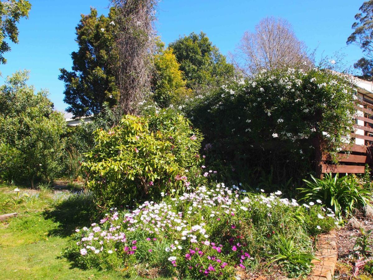 Cosy, Comfortable Cottage - Views & Location Plus Beauty Point Buitenkant foto